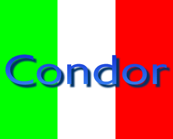 Condorlogo.gif