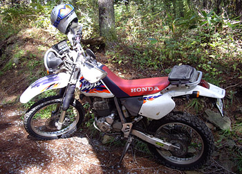 Honda XR250 Baja '97